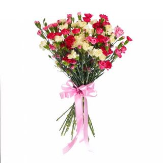 25 kolorowych goździków