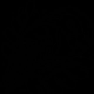 Involtini di gamberi