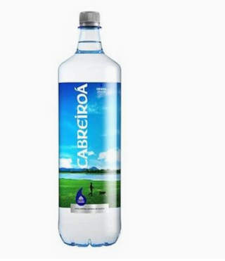 Agua Natural (500 Ml.)