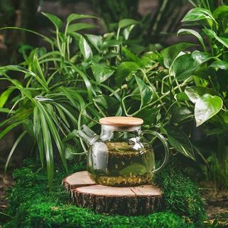 МОЛОЧНЫЙ УЛУН  (700 мл.)