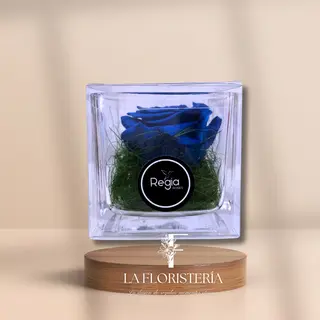 Cubo rosa eterna