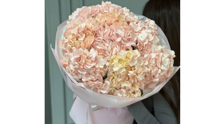 Bukiet z 9 różowych hortensji