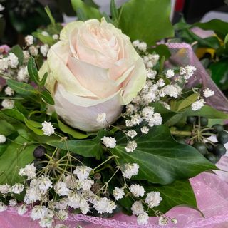 Poklon buketa svježa - 1 ruža