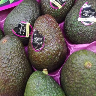 Aguacates Sublime Ud.