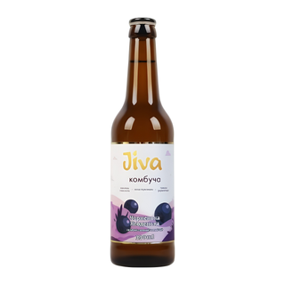 Комбуча Jiva Чорненька ягоденька