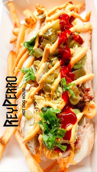 Perrito Chihuahua (México)