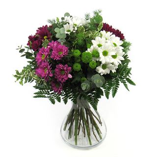 RAMO DE MARGARITAS VARIADAS