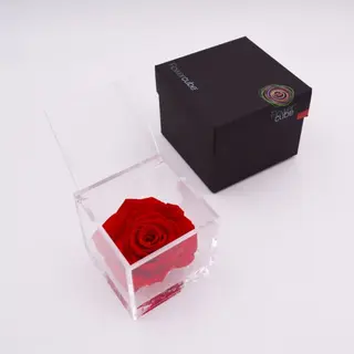 Rosa preservada Flowercube 10x10 Color Rojo