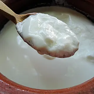 Kiselo mleko 