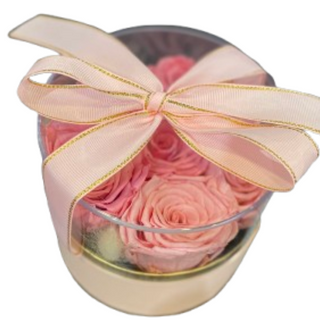 WIECZNA RÓŻA trwałość 2 lata