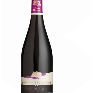 Recas Castel Huniade - Merlot (rosu demisec)