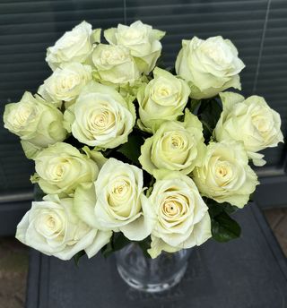 Białe róże, 15 sztuk