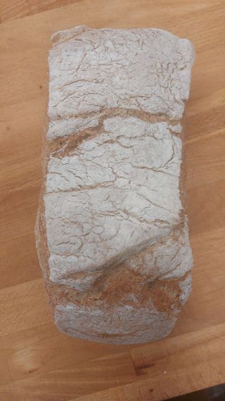 Panaccio integrale