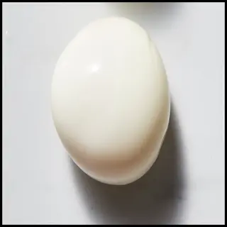 Egg