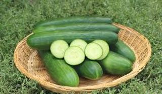 Cucumber 