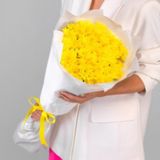 Crizantemă galbenă