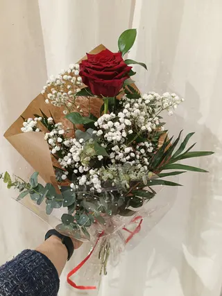 Rosa Roja Unidad