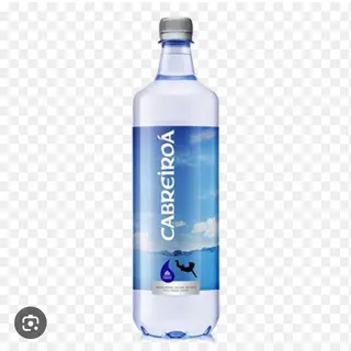 Agua (1Lt.)