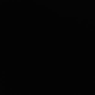 Creveti prajiti cu susan