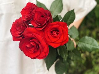 5 წითელი ვარდი / 5 Red roses