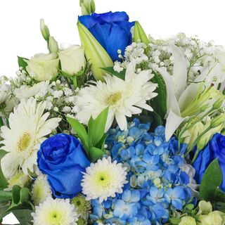RAMO VARIADO  EN TONOS AZULES 