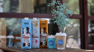 Капучино на альтернативном молоке (350мл)