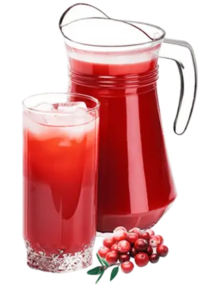 Морс клюквенный (1 л.)