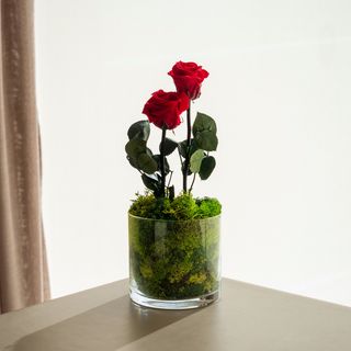 Red Garden - Rosa Eterna