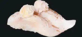 104. Nigiri De Dorada Flameado (2 Pzs.)