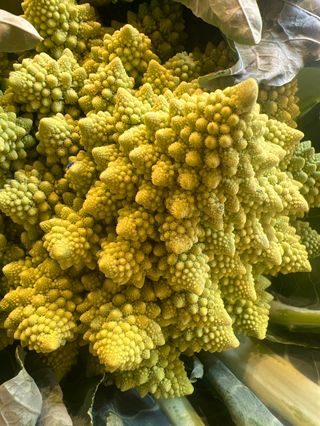 Cavolo romanesco - 700/900 gr