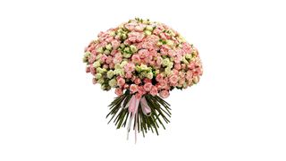 Mega Bloom 