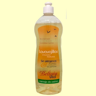 Lavavajillas Beltran Vital 1 L