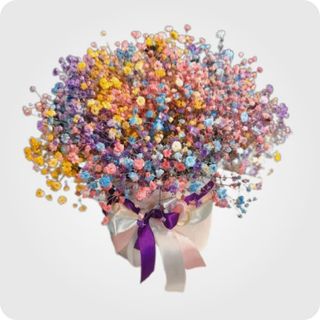 გიფსოფილა ყუთში N 2