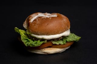 Vegan Burger