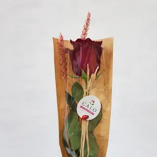 Rosa Roja Kraf
