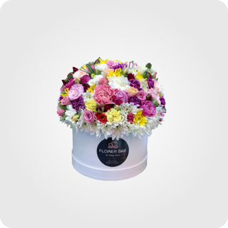  კომპოზიცია B -8