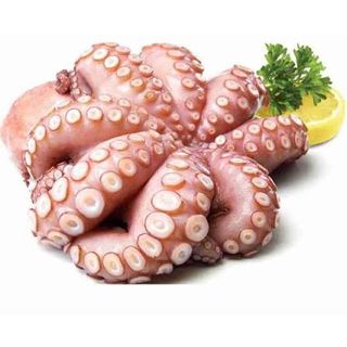 40 - Polpo 1 kg