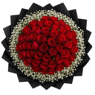 Bentle Red Mixed - (Standing)