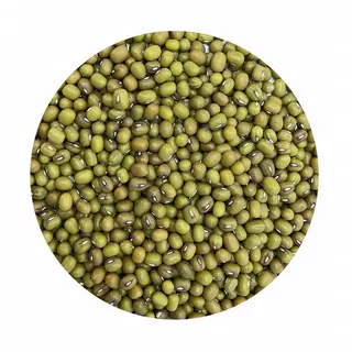 Soja Verde Ecológica "Mungo" (500 Gr Aprox)