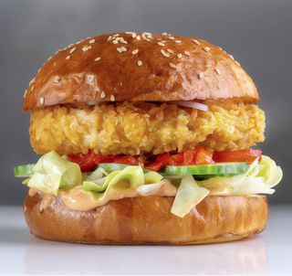 Crispy fried chicken burger