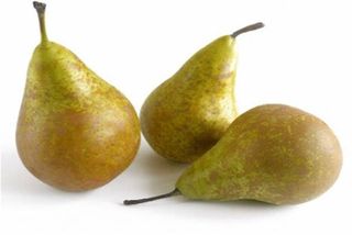 Pera Conferencia 500Gr.