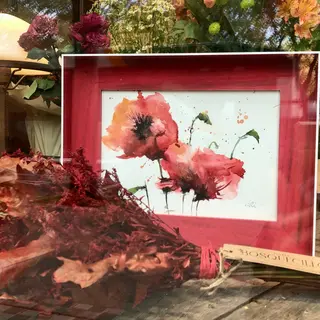 Amapolas
