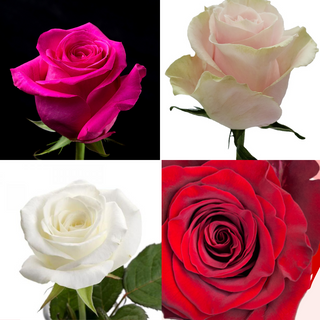 Buchet 5 trandafiri multicolor 