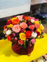 ჯუჯა ვარდების კოლოფი