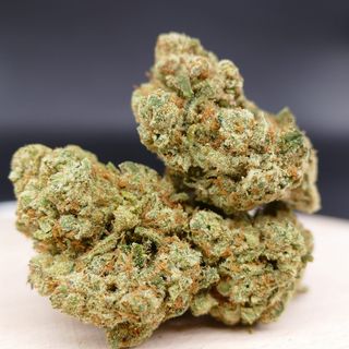 Amnesia Hydroponica 2G