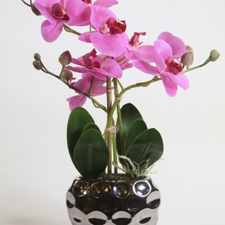 ORQUIDEA DA FELICIDADE ARTIFICIAL