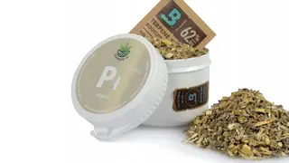 Piołun do Aromaterapii