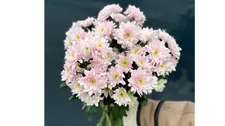 5 margaretek