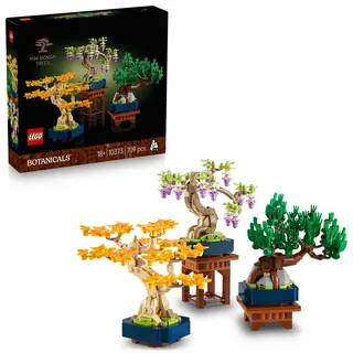 Arbori bonsai - 10373