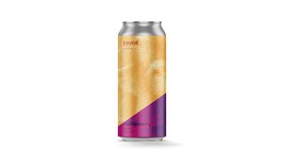 Mangoberry - Zavod 0,5 - (sour Ale)
